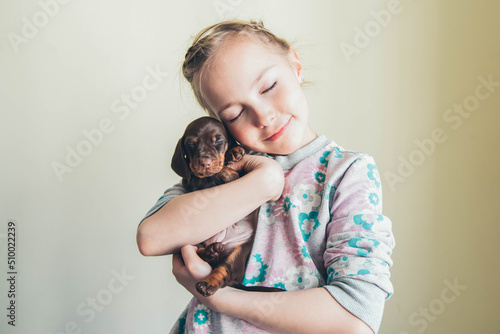 Adorable sleeping puppy in the hands of a little girl. Dachshund puppy. 