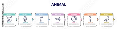 animal concept infographic design template. included lynx, wristwatch, streetlight, squid, basketball ball, oxygen tank, pigeon icons and 7 option or steps.