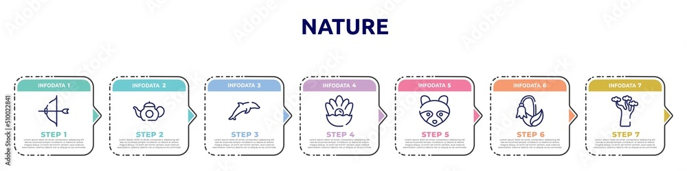 nature concept infographic design template. included archery, teapot, dolphin, pearl, racoon, harebell, baobab icons and 7 option or steps. nature concept infographic design template. included archery, teapot, dolphin, pearl, racoon, harebell, baobab icons and 7 option or steps.