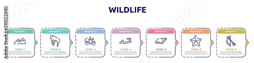 wildlife concept infographic design template. included mountains, chimpanzee, sun, sandals, shell, starfish, bow and arrow icons and 7 option or steps.