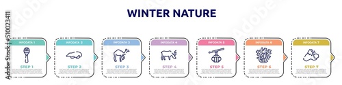 winter nature concept infographic design template. included maracas, mole, camel, moose, cable car cabin, coral, avalanche icons and 7 option or steps.