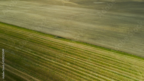 Agricultural fields with new shoots. New sprouts of agricultural crops appear on the field. Aerial photography. © f2014vad