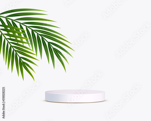 White cylinder podium for product with realistic palm leaves Vector