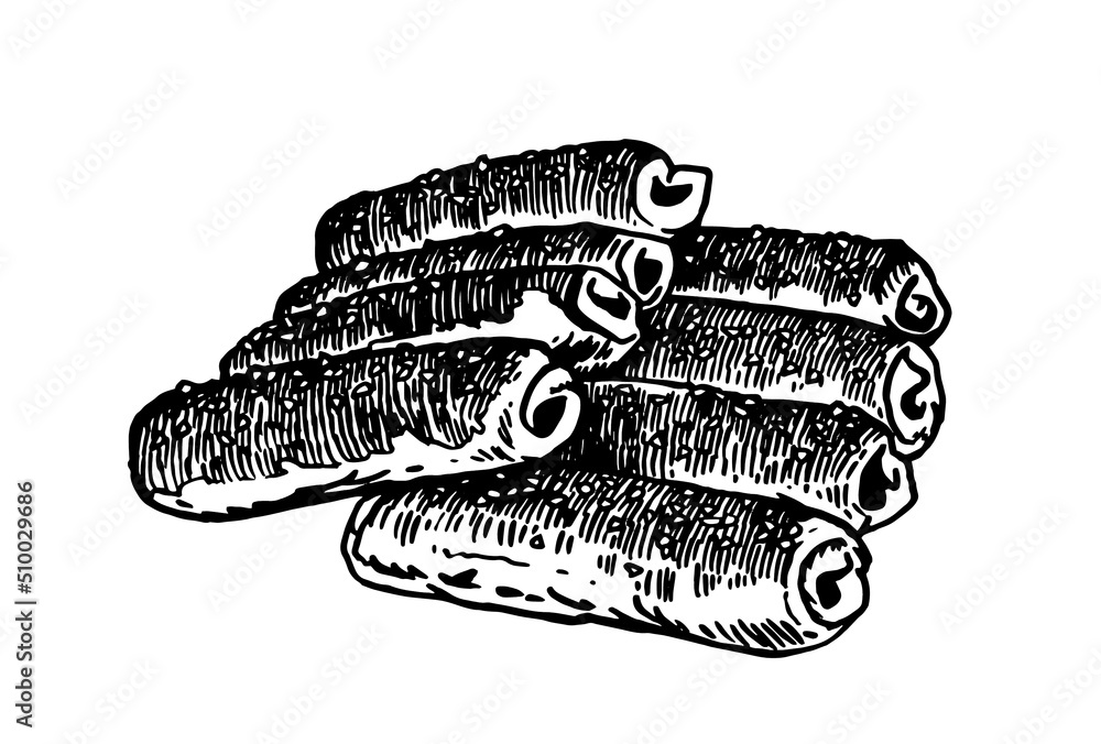 Vector hand-drawn sausages in dought isolated on white, fast food Vector hand-drawn sausages in dought isolated on white, fast food