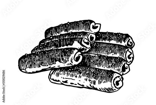 Vector hand-drawn sausages in dought  isolated on white, fast food 