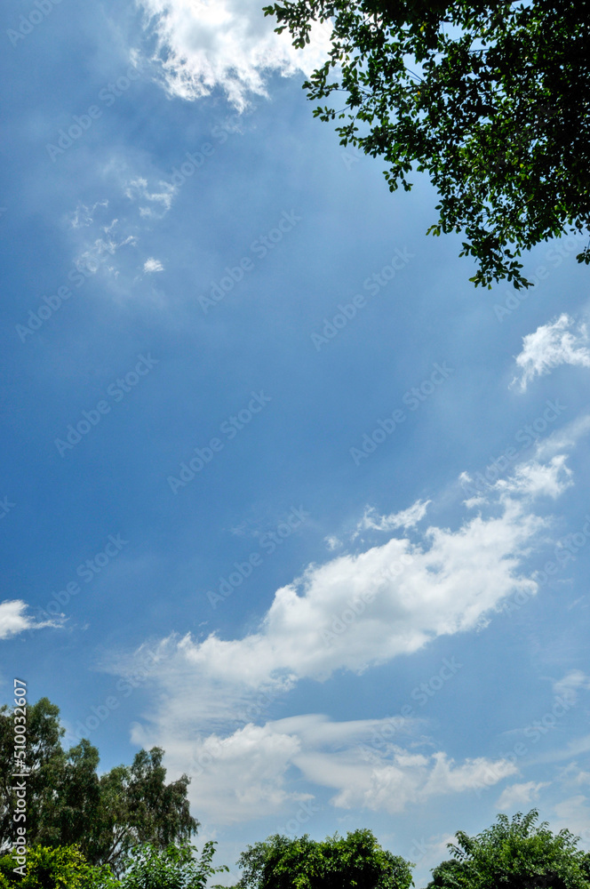 blue sky with clouds