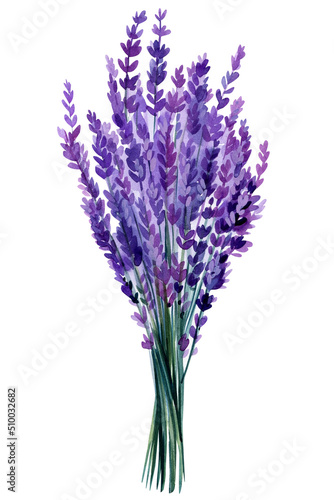 Beautiful flower bouquet  lavender flowers on isolated white background  watercolor illustration