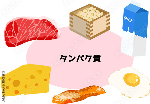 タンパク質_食材_セット