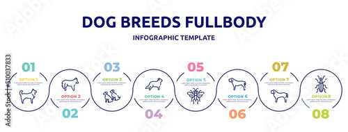 dog breeds fullbody concept infographic design template. included husky, shetland sheepdog, dogs, bernese mountain, sawfly, mastiff, english mastiff, null icons and 8 option or steps.