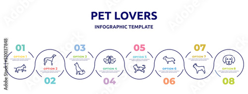 pet lovers concept infographic design template. included bulterrier, saluki, akitas, null, toyger cat, bullterrier, french bulldog, dog puppy icons and 8 option or steps.