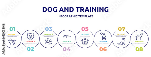 dog and training concept infographic design template. included guide dog, bear head, parrot head, big pike, pet shelter, spray, dog seatting, great dane icons and 8 option or steps.