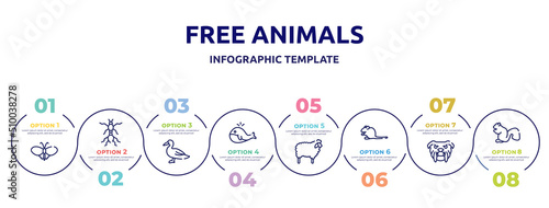 free animals concept infographic design template. included plain butterfly, red ant, wild duck, big whale, sheep with wool, sitting mouse, angry bulldog face, sitting squirrell icons and 8 option or