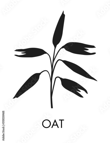 Ear of oat symbol vector icon