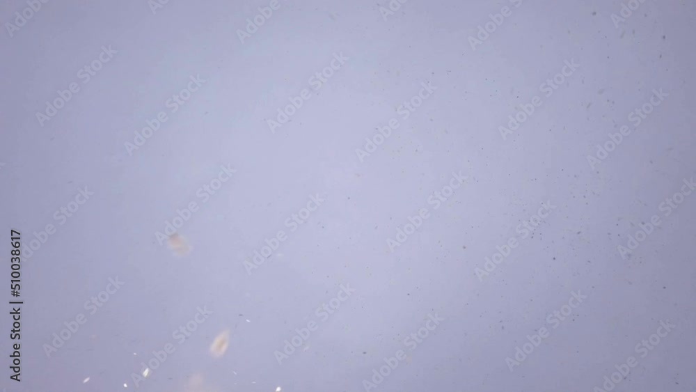 Low angle shot of snow falling over the camera. Snow falling from overcast white sky. Low angle upward view. Full frame slo-mo background.
Low angle shot of snow falling over the camera. Snow falling from overcast white sky. Low angle upward view. Full frame slo-mo background.