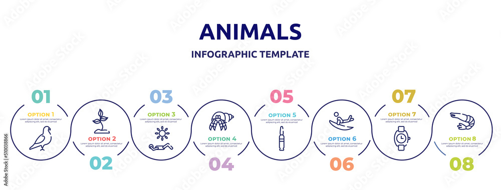 animals concept infographic design template. included pigeon, soil, sunbathing, hermit crab, bullets, surf, wristwatch, prawn icons and 8 option or steps.