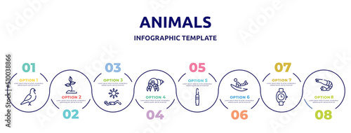Fotografie, Tablou animals concept infographic design template