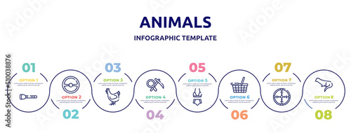 animals concept infographic design template. included torch, steering wheel, hen, geology, bikini, food basket, crosshair, otter icons and 8 option or steps.