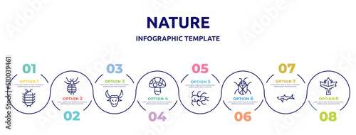 nature concept infographic design template. included cochineal, louse, buffalo, mushroom, tarantula, beetle, shark, maple leaf icons and 8 option or steps.