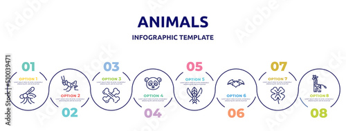 animals concept infographic design template. included mosquito, grasshopper, bones, panda bear, winged insect, bat, clover, giraffe icons and 8 option or steps.