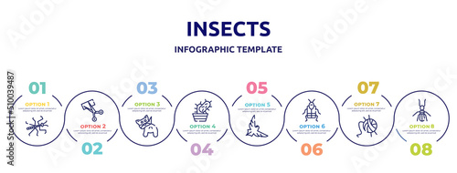 insects concept infographic design template. included mantis, trimming, null, cactus, eagle, crioceris, wool, termite icons and 8 option or steps.