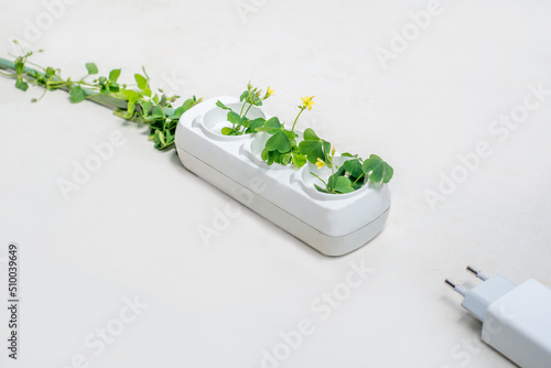 .Electric socket with green plants. The concept of sustainable resources and renewable electricity. White background with copy space photo