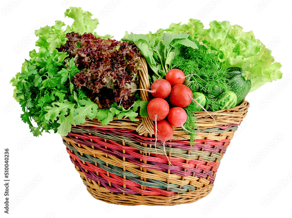 Basket with fresh vegetables and herbs. Spring abundance. Diet. The concept of healthy eating. Organic products.Isolated Basket with fresh vegetables and herbs. Spring abundance. Diet. The concept of healthy eating. Organic products.Isolated