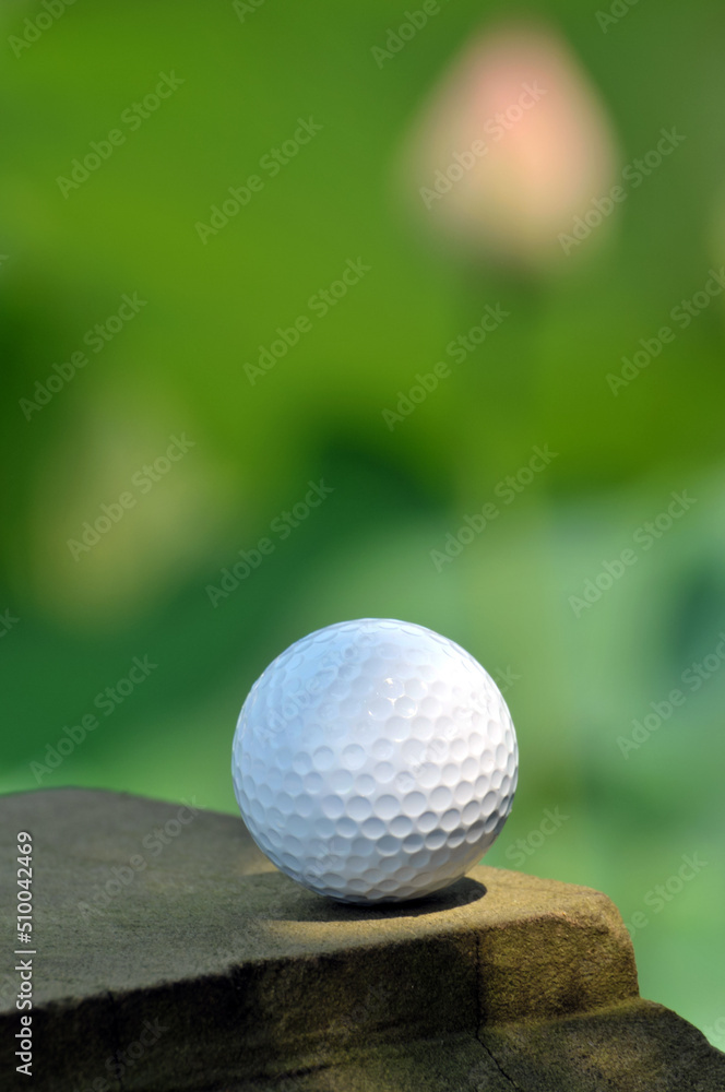 golf ball byside the waterlily pond golf ball byside the waterlily pond