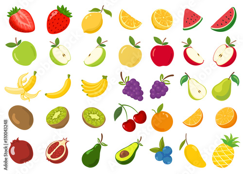 fruit collection set illustration cartoon