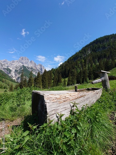 Urlaub in den Bergen photo