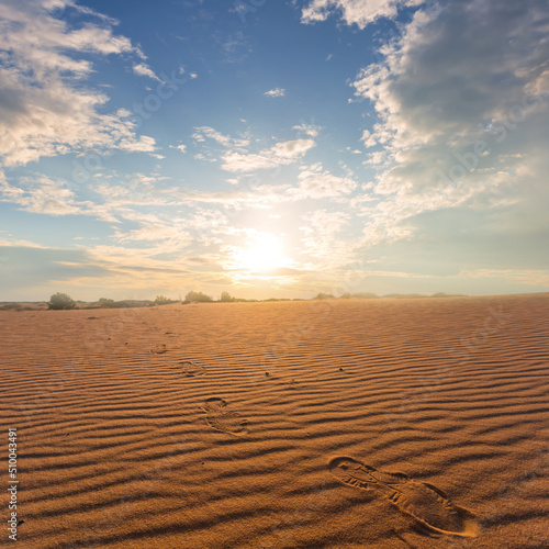 wide hot sandy desert at the sunset, wild natural background