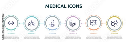 medical icons concept infographic design template. included weight, lungs organ, medical doctor, sticking plaster, electrocardiogram on screen, biology shape icons and 6 option or steps.