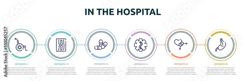 in the hospital concept infographic design template. included wheelchair, x ray of bones, two color pill, star of life, united heterosexual, esophagus icons and 6 option or steps.