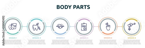 Canvas Print body parts concept infographic design template