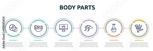body parts concept infographic design template. included medicines time, vegetarian diet, heartbeats monitoring, sperms, test tube and flask, human hand bones icons and 6 option or steps.