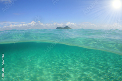 underwater scenery of coral reefs in the caribbean sea