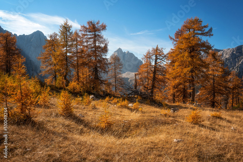 Autumn at Slemenova Spica in the Julian Alps mountains photo