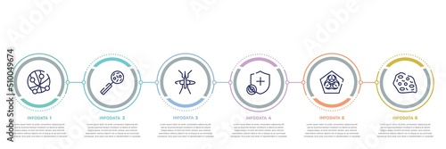 concept infographic design template. included , disease, mosquito, immune, biohazard, amoeba icons and 6 option or
