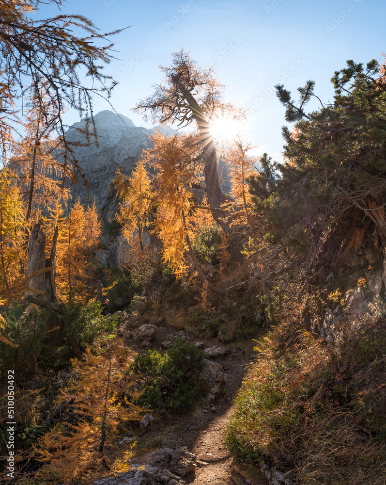 Autumn at Slemenova Spica in the Julian Alps mountains Autumn at Slemenova Spica in the Julian Alps mountains