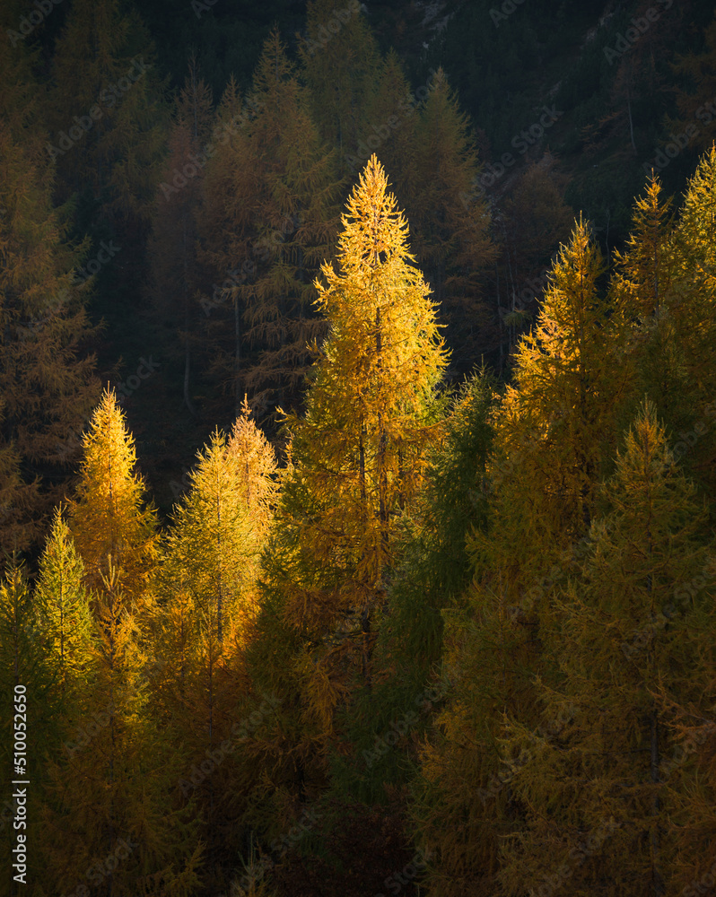 Autumn at Slemenova Spica in the Julian Alps mountains Autumn at Slemenova Spica in the Julian Alps mountains
