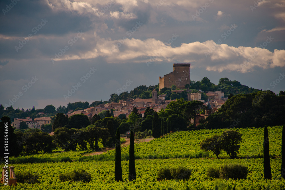 landscape and  village of chateauneuf de pape , with vineyards and countryside ,provence ,vaucluse france .