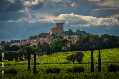 landscape and  village of chateauneuf de pape , with vineyards and countryside ,provence ,vaucluse france . photo