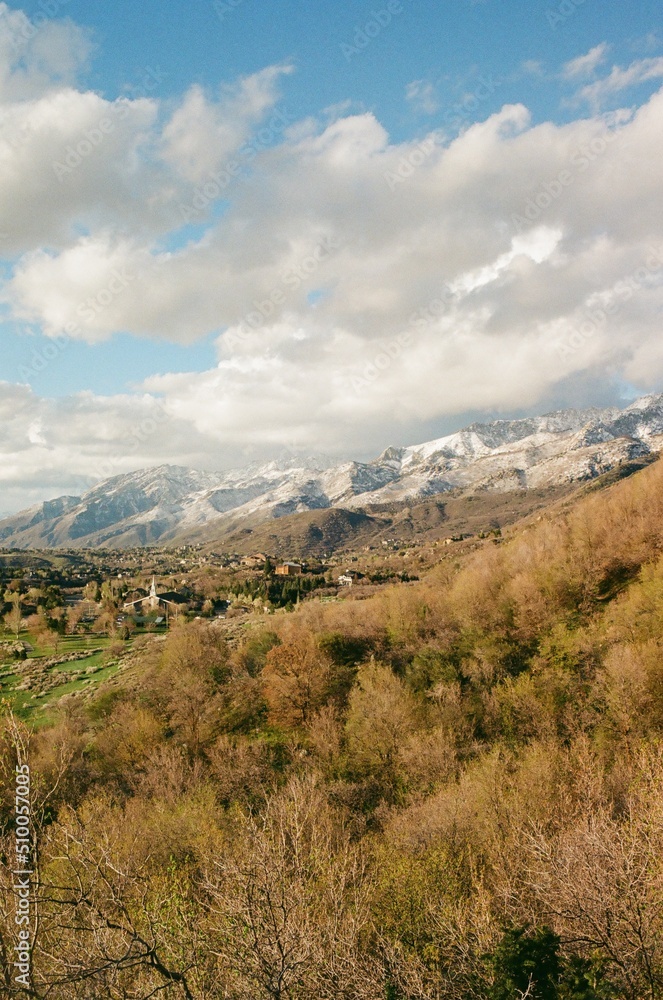 Spring mountains landscape 35mm film vertical