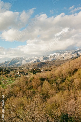 Spring mountains landscape 35mm film vertical © Ricky