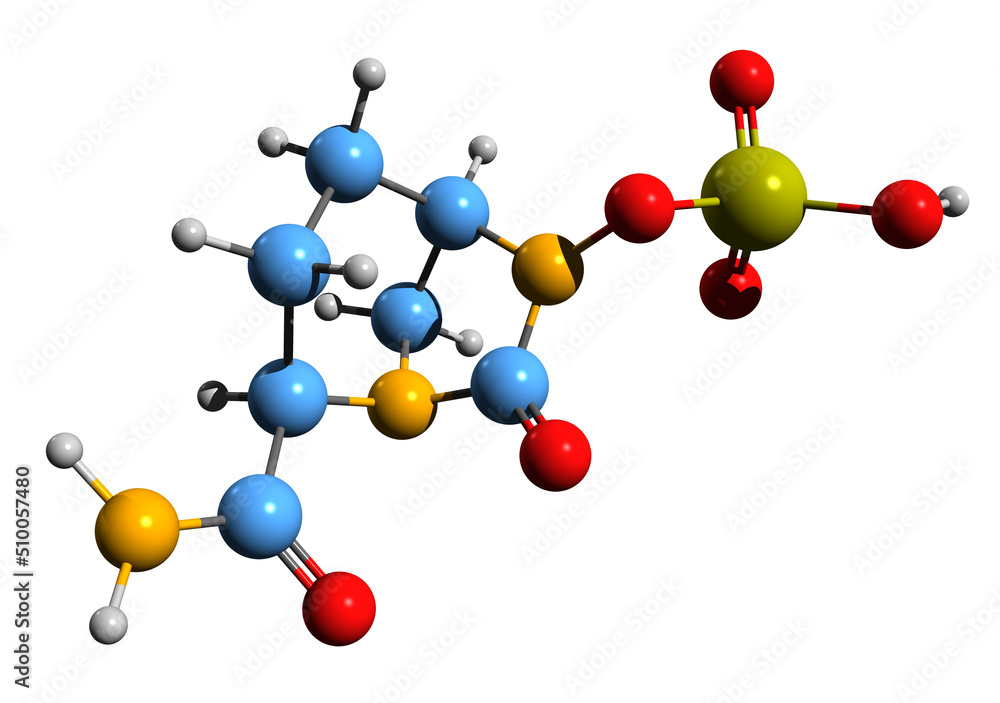 3D image of avibactam skeletal formula - molecular chemical structure of lactamase inhibitor isolated on white background 3D image of avibactam skeletal formula - molecular chemical structure of lactamase inhibitor isolated on white background