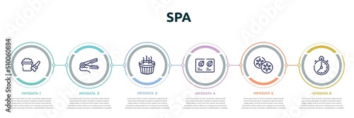 spa concept infographic design template. included bubbles, hair straightener, hot tub, hair color sample, cucumber, stopclock icons and 6 option or steps.