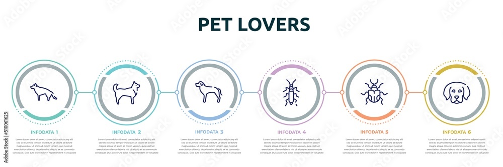 pet lovers concept infographic design template. included german sheperd, husky, rottweiler, null, null, dog puppy icons and 6 option or steps. - obrazy, fototapety, plakaty 