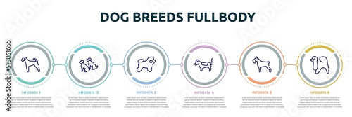 dog breeds fullbody concept infographic design template. included airedale, dogs, bichon frise, jack russell terrier, miniature schnauzer, japanese chin icons and 6 option or steps.