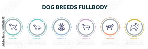 dog breeds fullbody concept infographic design template. included afghan hound, collie, null, english mastiff, dalmatian, pomeranian icons and 6 option or steps.