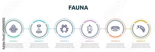 fauna concept infographic design template. included cat box, scratching platform, big mite, sponge filter, cat collar, big shrimp icons and 6 option or steps.