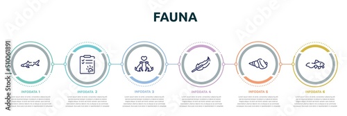 fauna concept infographic design template. included big shark, dog health list, couple of dogs, feathers, conch, gold fish icons and 6 option or steps.
